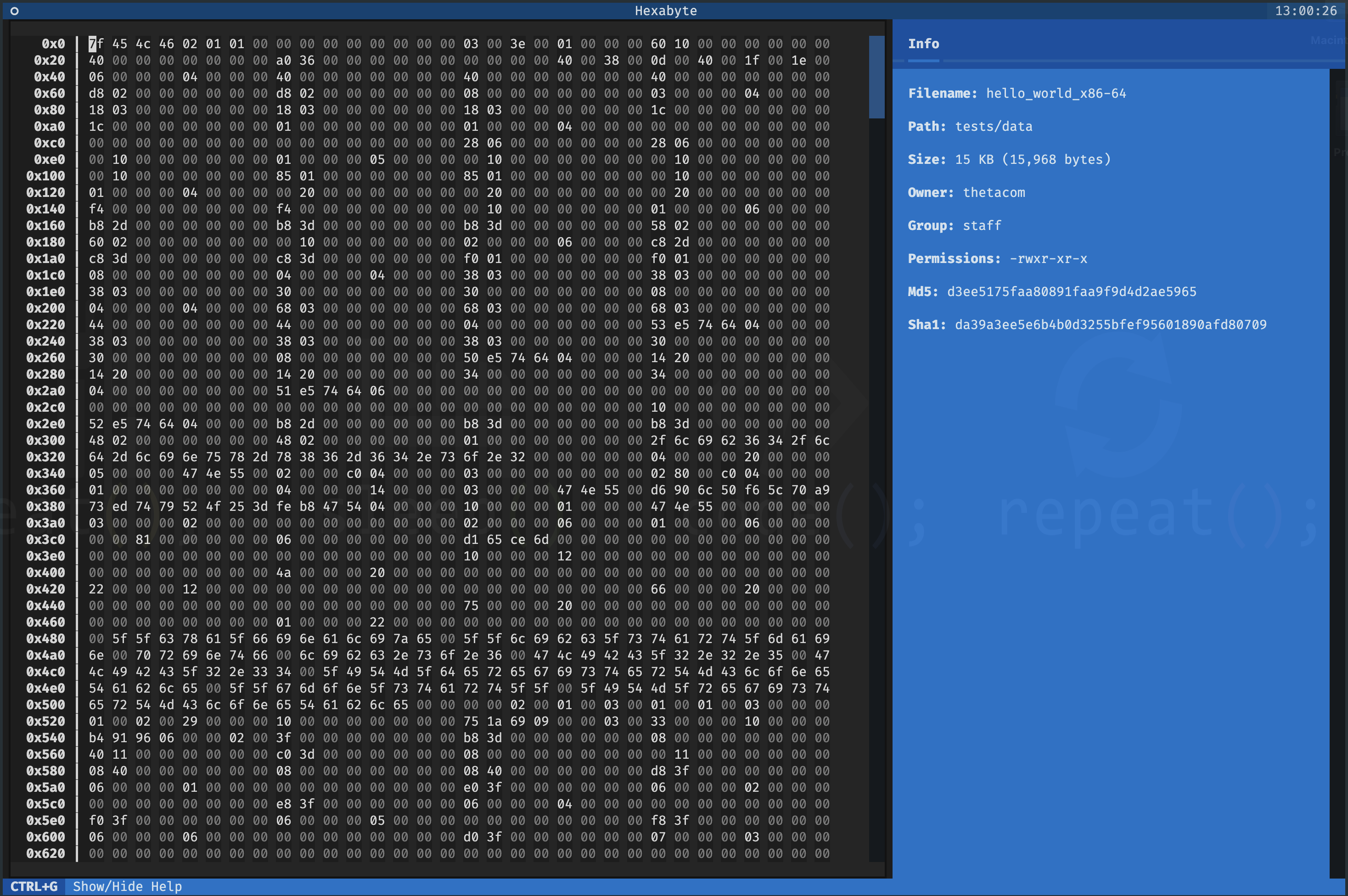 hello_world ELF hex view