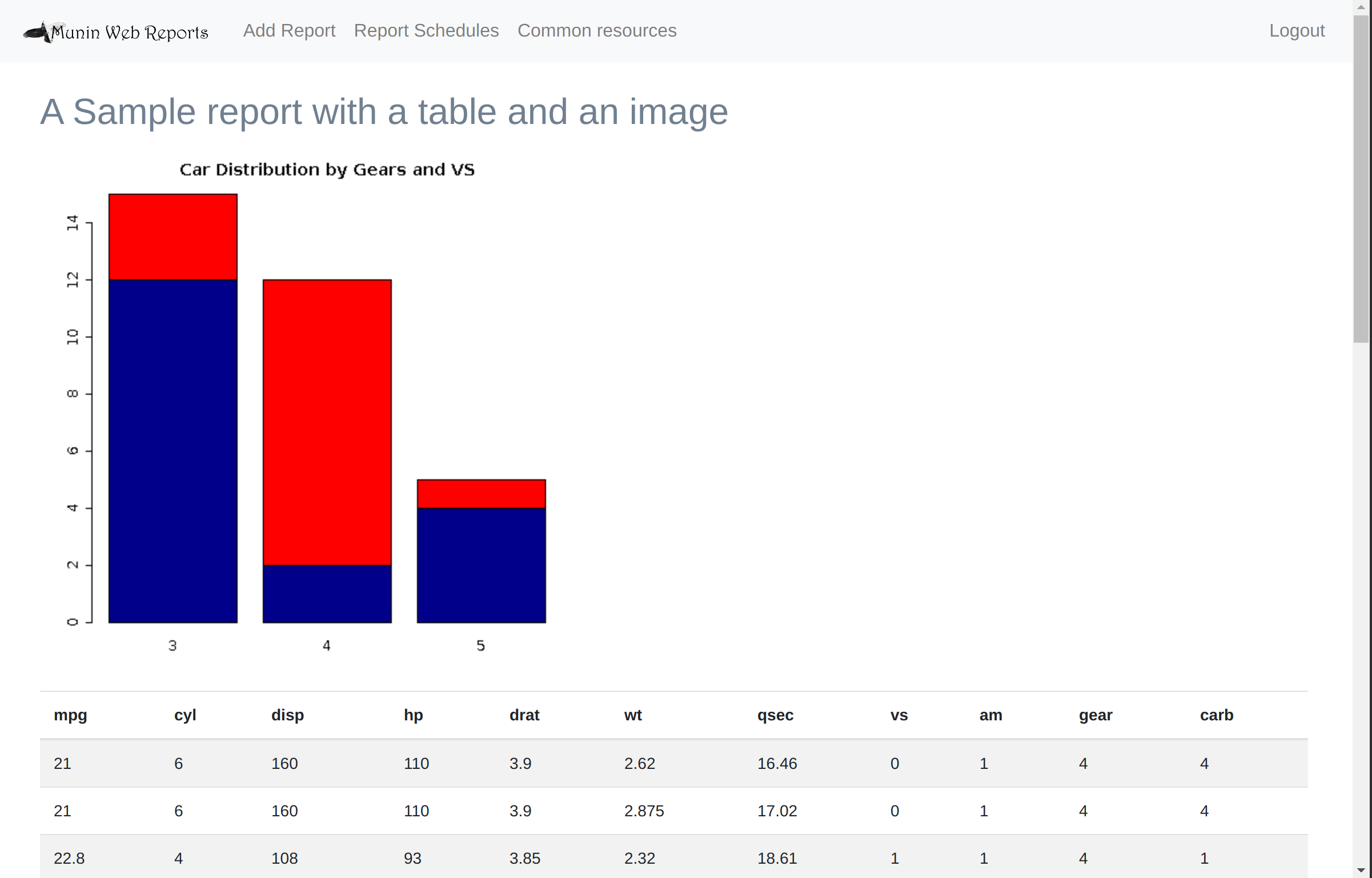 example report