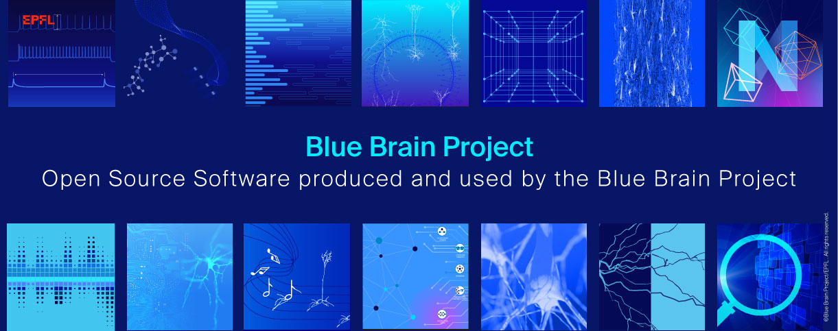 Blue Brain Project banner