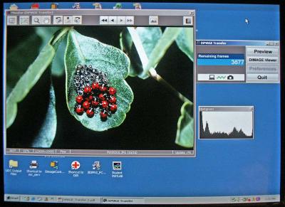 Dimage Transfer Screen Shot 970.jpg