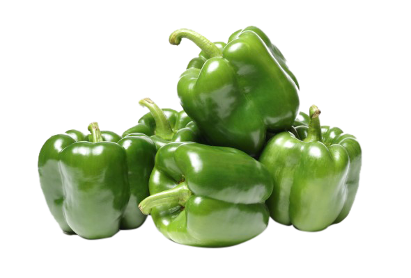 Capsicum Green