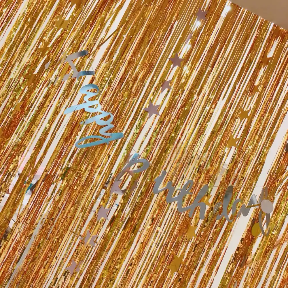 Detail Feedback Questions About 100100cm Tinsel Foil Fringe Door