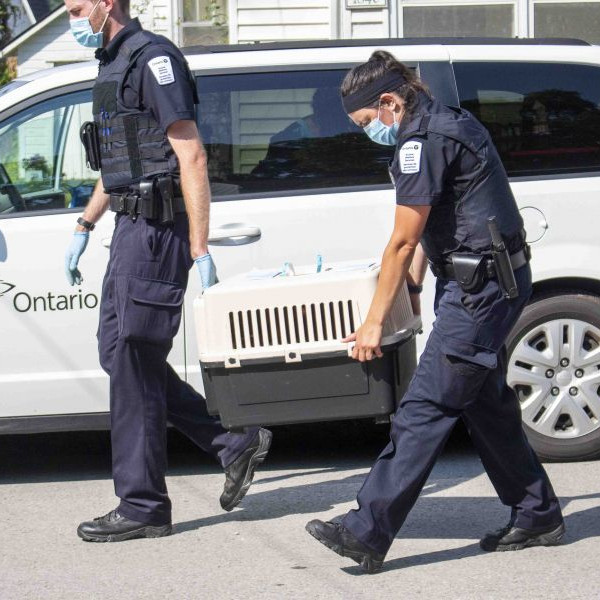 Image shows police removing dog