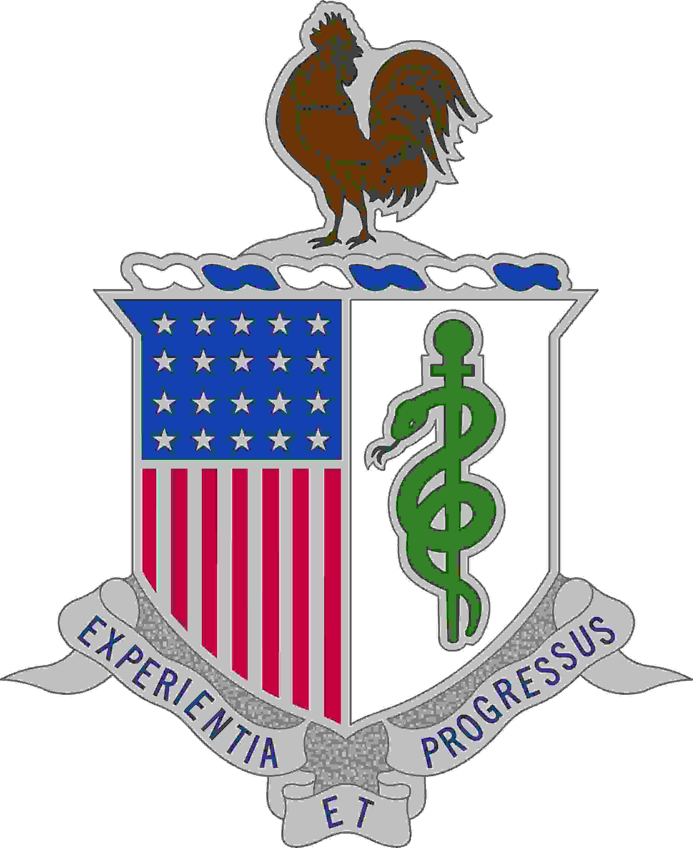 Combat Medic Army Symbol