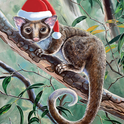 EB28G Happy Christmas Possums!