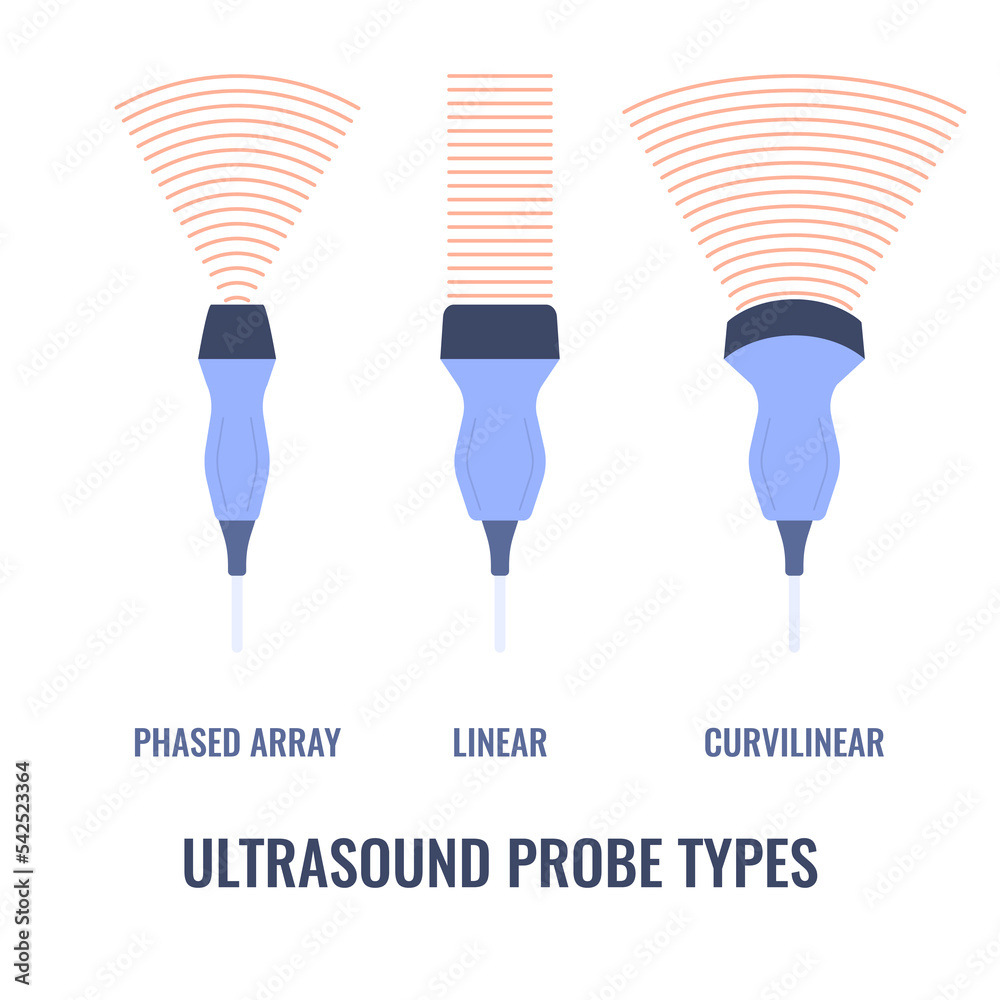 Ultrasound probe types diagram. Linear, curvilinear and phased array ...