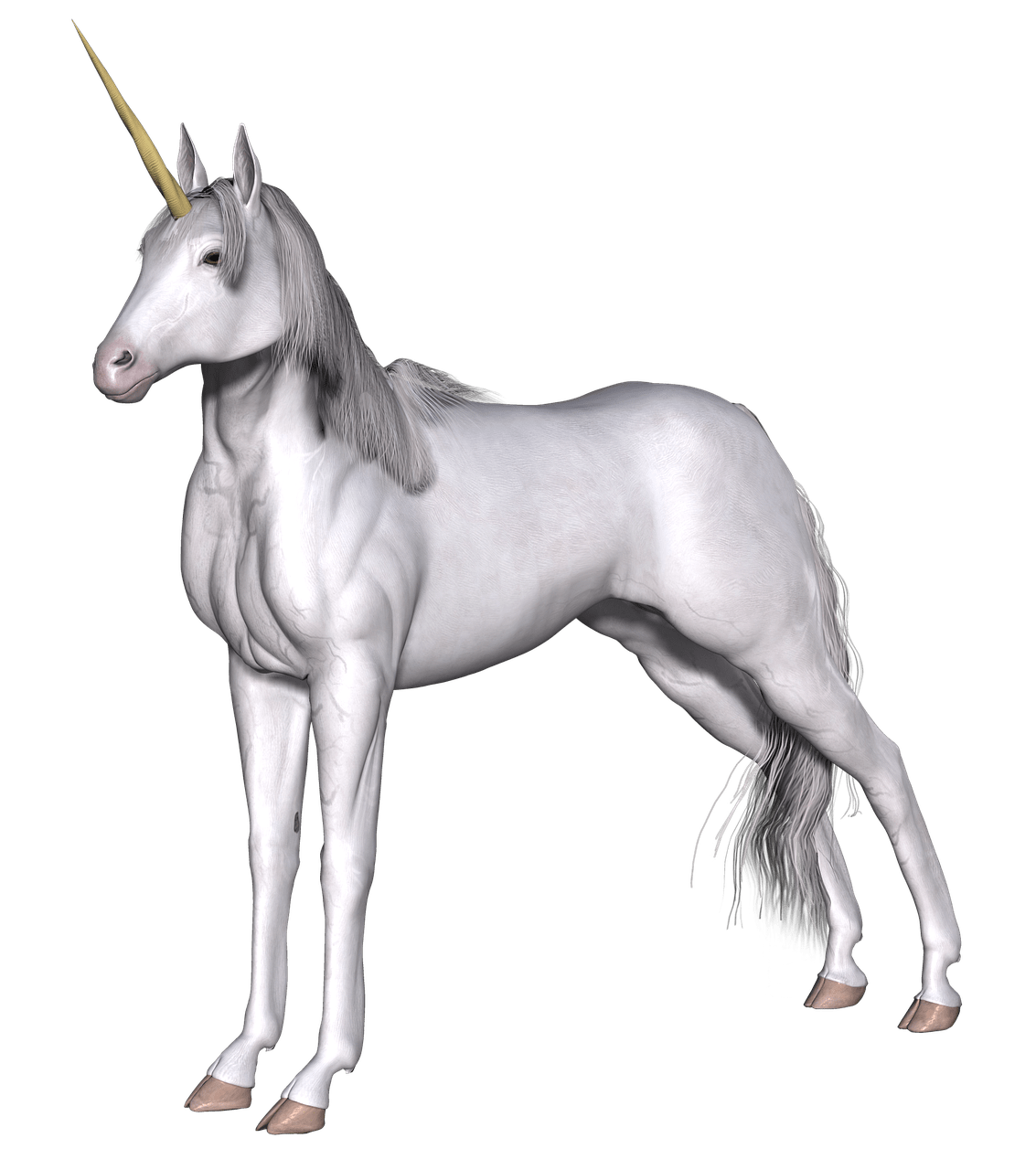 Unicorn Transparent