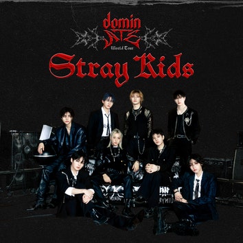 Stray Kids Added 20 New Dates to Their <dominATE> World Tour