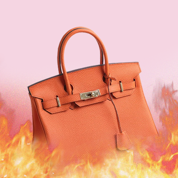 Walmart Birkin Dupes: An Anti-Capitalist Flex or a Symptom of a Larger Problem?