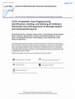 Research paper thumbnail of nCOV-19 peptides mass fingerprinting identification, binding, and blocking of inhibitors flavonoids and anthraquinone of Moringa oleifera and hydroxychloroquine