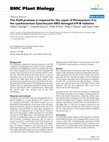 Research paper thumbnail of The FtsH protease is required for the repair of Photosystem II in the cyanbacterium Synechocystis6803 damaged UV-B radiation