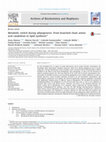 Research paper thumbnail of Metabolic switch during adipogenesis: From branched chain amino acid catabolism to lipid synthesis