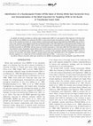 Research paper thumbnail of Identification of a Nucleocapsid Protein (VP35) Gene of Shrimp White Spot Syndrome Virus and Characterization of the Motif Important for Targeting VP35 to the Nuclei of Transfected Insect Cells