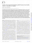 Research paper thumbnail of Activity of the Osmotically Regulated <i>yqiHIK</i> Promoter from Bacillus subtilis Is Controlled at a Distance