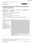 Research paper thumbnail of Cranial muscle architecture in wild boar: Does captivity drive ontogenetic trajectories