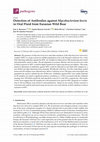 Research paper thumbnail of Detection of Antibodies against Mycobacterium bovis in Oral Fluid from Eurasian Wild Boar