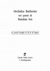 Research paper thumbnail of Jibanananda Das e la poesia bengali al di là di Tagore - Orchidea Barberini nei panni di Banalata Sen