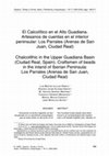 Research paper thumbnail of Chalcolithic in the Upper Guadiana Basin(Ciudad Real, Spain). Craftsmen of beadsin the inland of Iberian Peninsula: Los Parrales (Arenas de San Juan, Ciudad Real) // El Calcolítico en el Alto Guadiana. Artesanos de cuentas en el interior peninsular: Los Parrales (Arenas de San Juan, Ciudad Real)