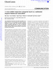 Research paper thumbnail of A Water-Soluble Temperature nanoProbe based on a Multimodal Magnetic-Luminescent nanoColloid