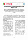 Research paper thumbnail of Identification of Gaps to Conduct a Study on Biological Self-healing Concrete