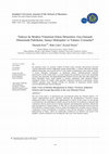 Research paper thumbnail of Türkiye’de Modern Yönetimin Erken Dönemleri: Geç-Osmanlı Döneminde Fabrikalar, Sanayi Mektepleri ve Yabancı Uzmanlar