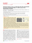 Research paper thumbnail of Dynamical Torque in CoxFe3−xO4 Nanocube Thin Films Characterized by Femtosecond Magneto-Optics: A π‑Shift Control of the Magnetization Precession