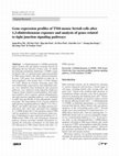 Research paper thumbnail of Gene expression profiles of TM4 mouse Sertoli cells after 1,3-dinitrobenzene exposure and analysis of genes related to tight junction signaling pathways