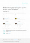 Research paper thumbnail of Field monitoring of rice rhizosphere dynamics in saline soils of NE Thailand
