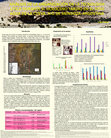 Research paper thumbnail of ANÁLISIS DE LA ORGANIZACIÓN DE LA TECNOLOGÍA LÍTICA DURANTE EL HOLOCENO TARDÍO EN EL SITIO AGUA DE LA CUEVA, N.O DE MENDOZA-ARGENTINA