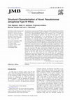 Research paper thumbnail of Structural Characterization of Novel Pseudomonas aeruginosa Type IV Pilins