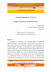 Research paper thumbnail of Toponimia indígena del sur de San Luis