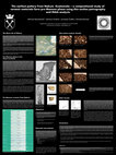 Research paper thumbnail of The earliest pottery from Nakum, Guatemala – a compositional study of ceramic materials form pre-Mamom phase using thin-section petrography and INAA analysis