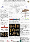 Research paper thumbnail of Los micromamíferos de Castillejo del Bonete (Holoceno reciente, Terrinches, Ciudad Real)