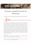 Research paper thumbnail of Fr. Colin « Les briques estampillées du pylône de Padiamenopé », Carnet de laboratoire en archéologie égyptienne, 28/08/2021, https://clae.hypotheses.org/1856