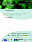 Research paper thumbnail of Transcriptional regulation of the bidirectional hydrogenase in the cyanobacterium Synechocystis 6803