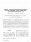 Research paper thumbnail of Diagenesis of Holocene reef and associated beachrock of certain coral islands, Gulf of Mannar, India: Implication on climate and sea level