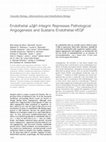 Research paper thumbnail of Endothelial α3β1-Integrin Represses Pathological Angiogenesis and Sustains Endothelial-VEGF