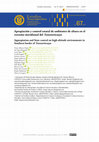 Research paper thumbnail of Apropiación y control estatal de ambientes de altura en el extremo meridional del Tawantinsuyu