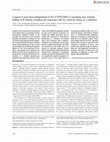 Research paper thumbnail of Caspase 8 activation independent of Fas (CD95/APO-1) signaling may mediate killing of B-chronic lymphocytic leukemia cells by cytotoxic drugs or γ radiation