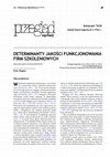 Research paper thumbnail of Determinanty Jakości Funkcjonowania Firm Szkoleniowych