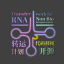 @project-tRNA