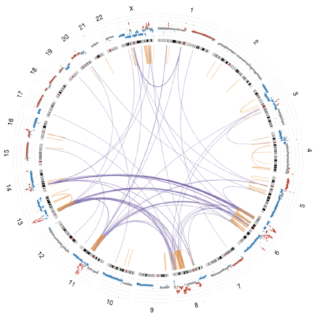 @translational-oncogenomics