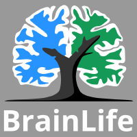 @brain-life