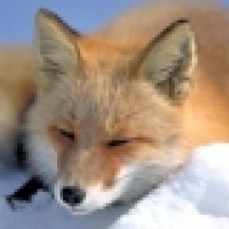 vbfox