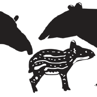 @tapirconservation