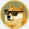 @dogefoodcoin