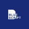 @BlueScript-NPO