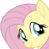 @Fluttershy