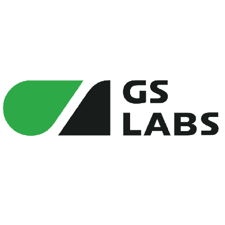 @gslabs-dev