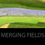 @MergingFields